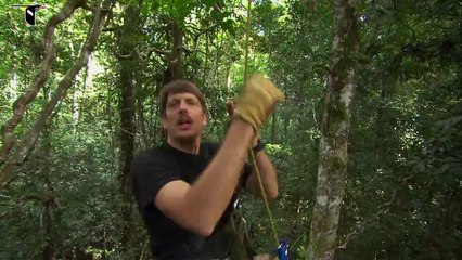 Birbirinden Güzel Kuşlar (Tavsiyemdir İzleyin)