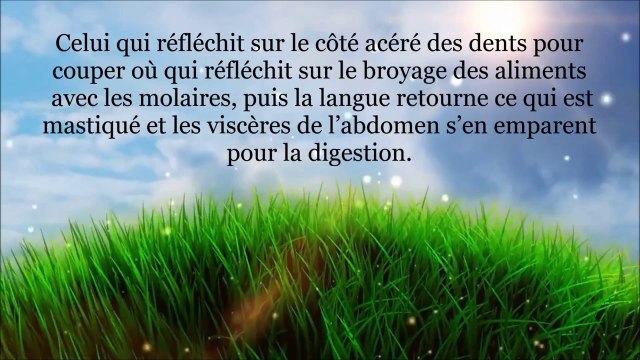 [Talbis Iblis] Les ruses d'Iblis contre les athées