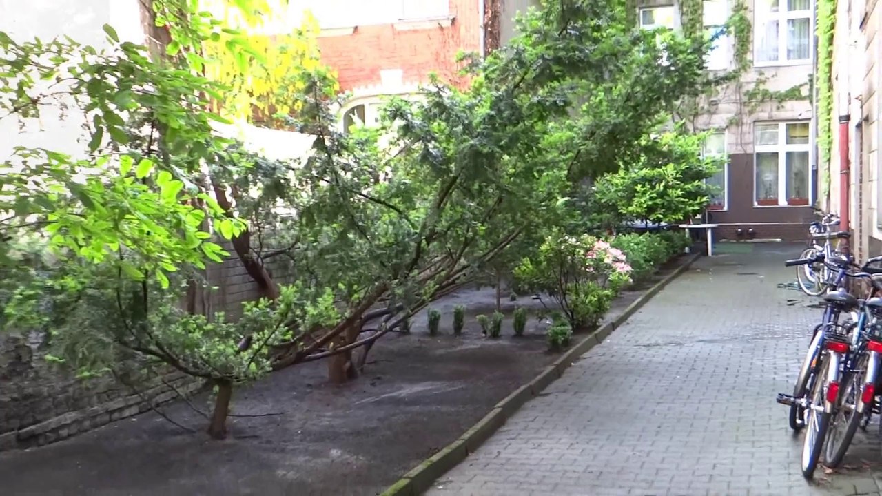 bei uns auf den Hof...