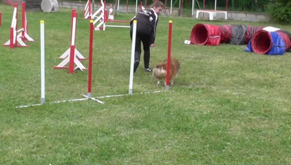 PRINCESSE GPF MIRAMAS M2