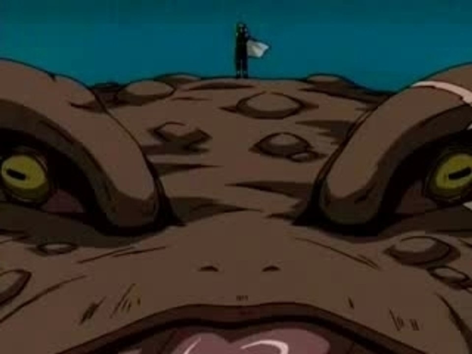 Naruto-hiruka