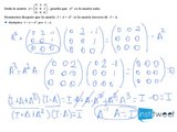 Ecuaciones y matrices matemáticas bachillerato