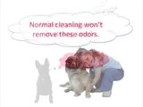 ▶ Vaughan, Ontario Carpet Stain Odor Removal