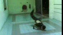 Not my Best(break.d moves)