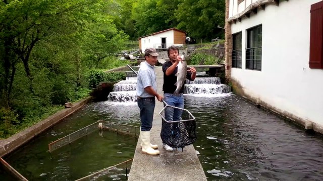 La TRUITE de BANKA et François / Le Grand Marché de la Gastronomie