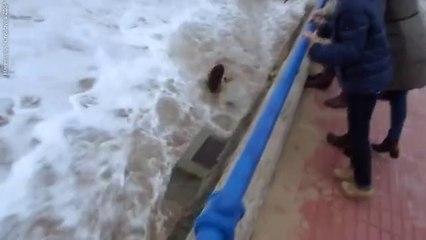 Dalgayla Dalga Geçen Kızın Dramı
