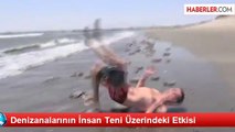 Denizanalarının İnsan Teni Üzerindeki Etkisi