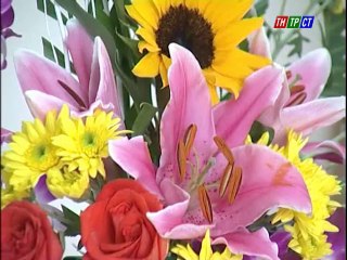 Vào bếp cùng khán giả- Mâm ngũ quả ngày Tết