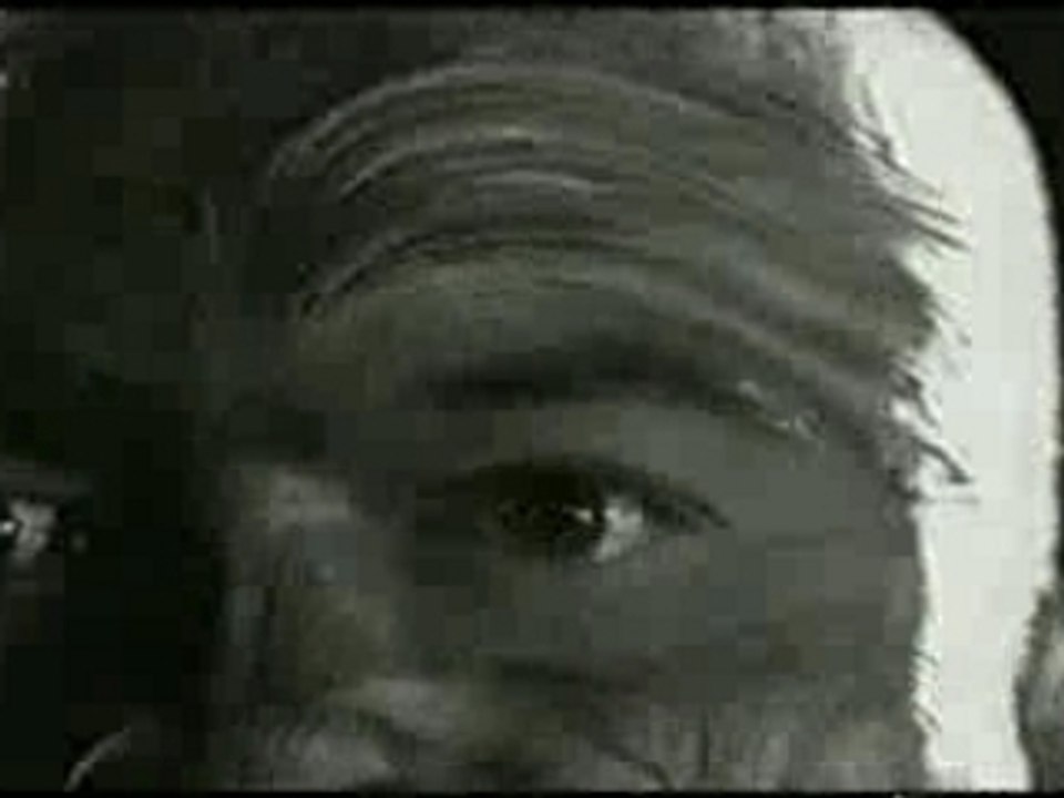 Rugby - Haka - Pub adidas