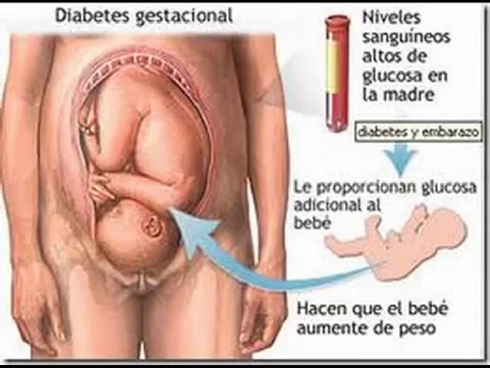 25 weeks pregnant - fetal development