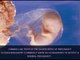 8 weeks Pregnant -fetal development