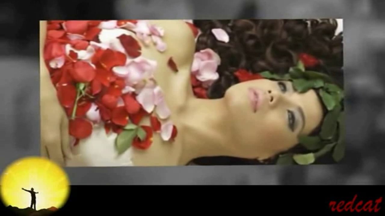 Nilüfer - Her Sevda Bir Veda