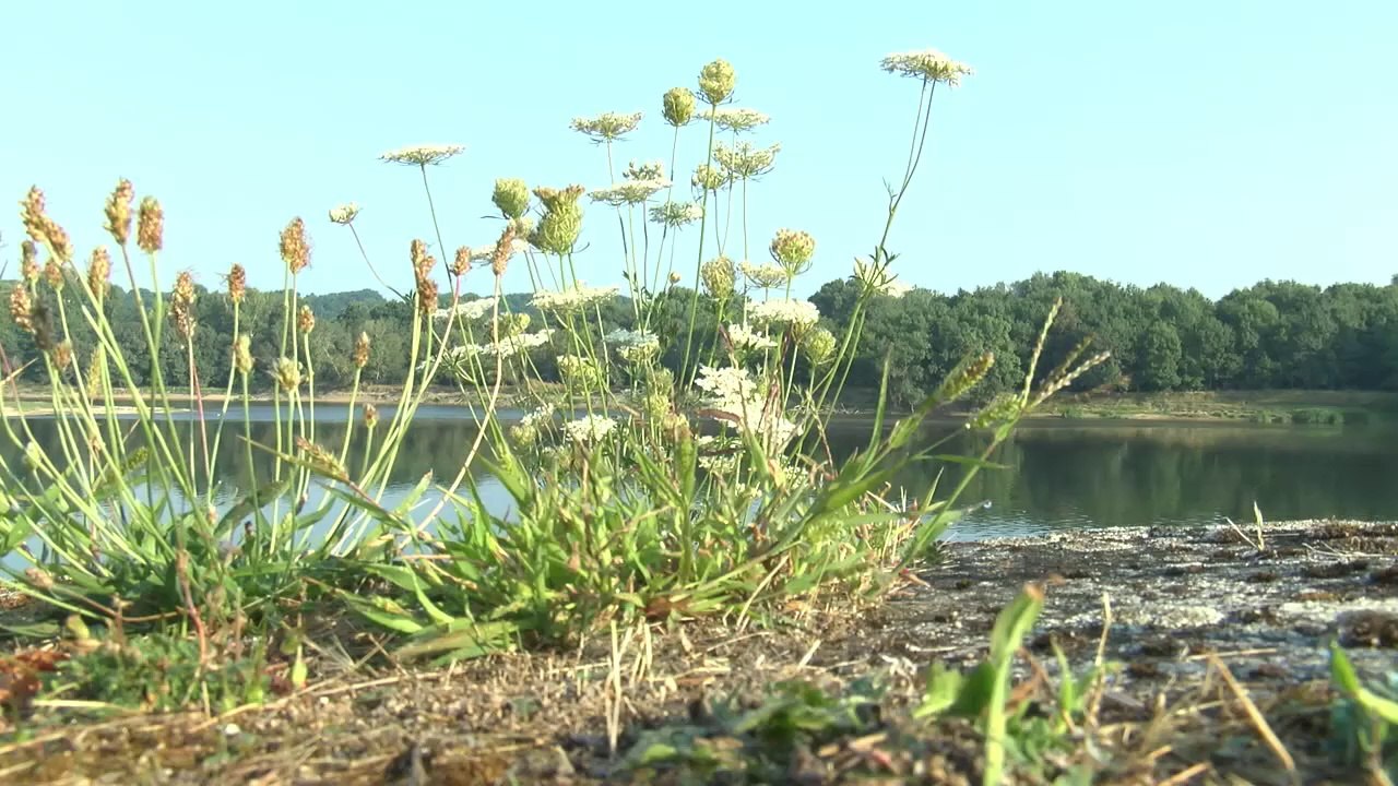 Vidéo « Valorisation du patrimoine »