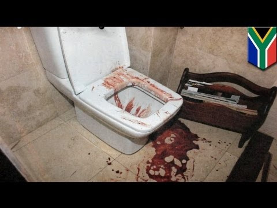 Oscar Pistorius trial: New evidence from ballistics expert challenges prosecution