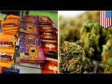 'Spice' AKA 'K2': DEA cracks down on synthetic weed bust in latest arrests