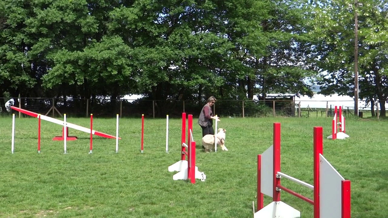 Agility entrainement à Ville sous Anjou Mai 2014