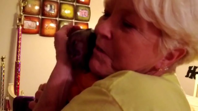 Un bébé singe est content de retrouver une femme