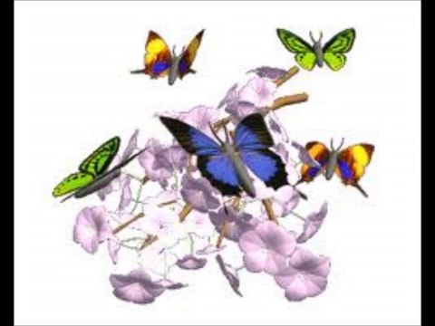 5098461 Bağcılar Airfel Kombi Şervişi Güvenilir Hizmet Bağcılar Airfel Şervişi tüm Airfel Kombi ürünlerinin Şerviş montaj bakım yedek parça hizmetlerini en kaliteli şekilde yerine getirir.