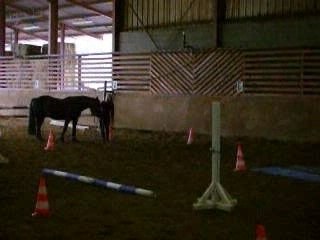 Jeu de la bache tournoi étho 21 01 07