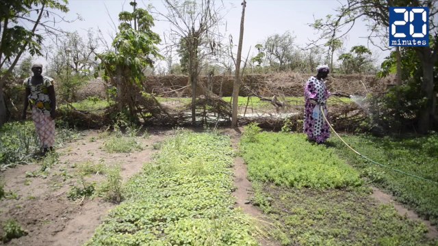 L'accaparement des terres, un nouveau problème au Sénégal