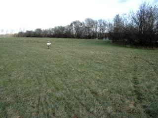 pablo sur les bords de saone: dirttox