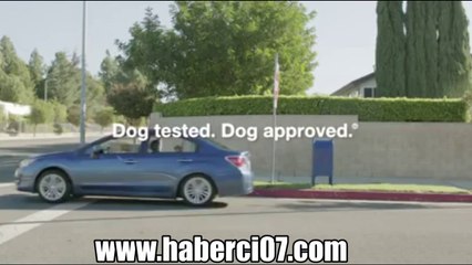 Dişi her zaman Dişi