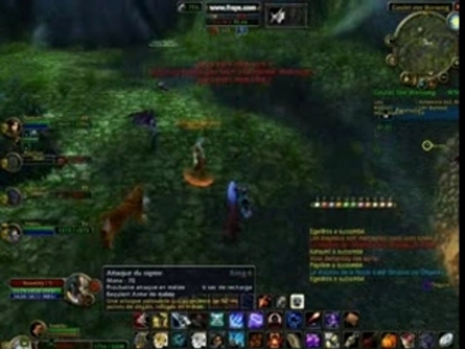 Goulet des warsong