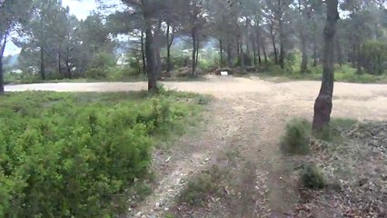 Cuges les pins GR98 50 km 15