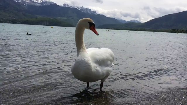 Taxi Albertville 06.49.28.94.52 au Lac d'Annecy