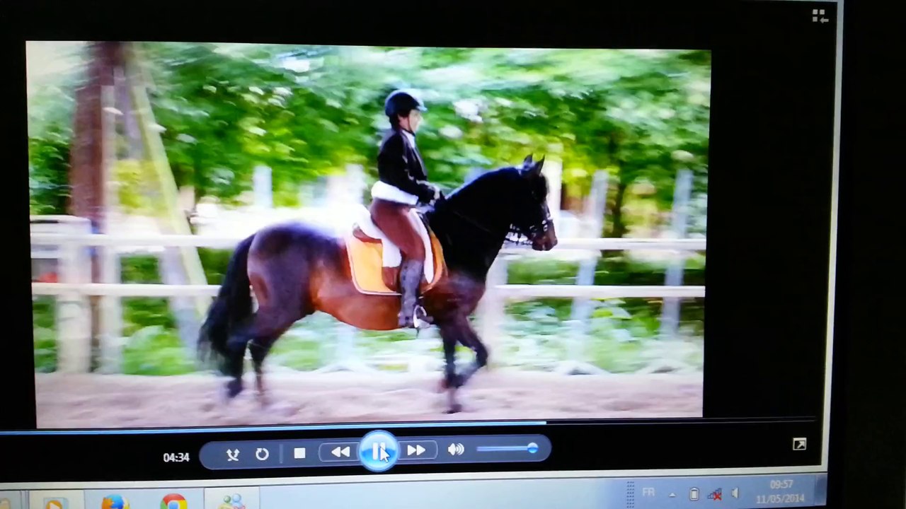 TENDERO P.R.E au trot