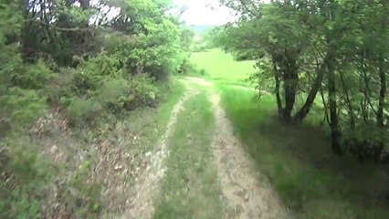 Cuges les pins GR98 50 km 03