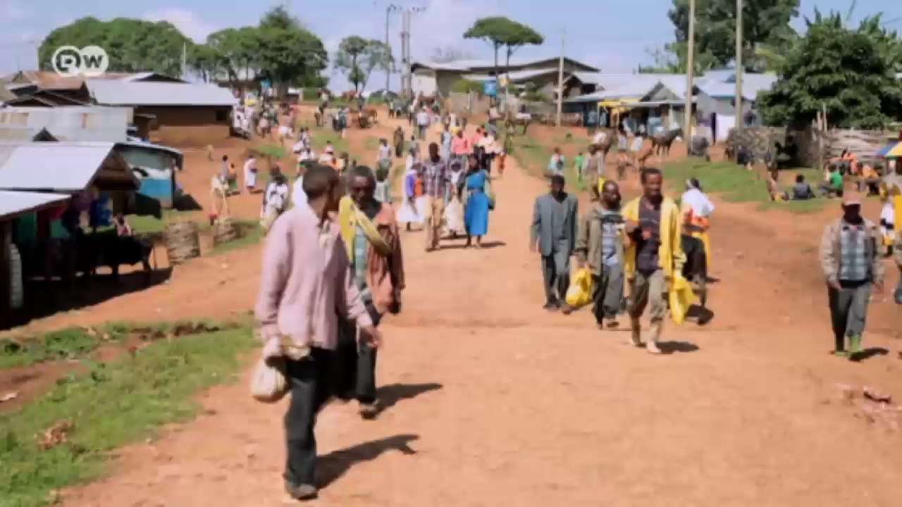 Äthiopien: Schutzprogramm für Löwen | Global 3000