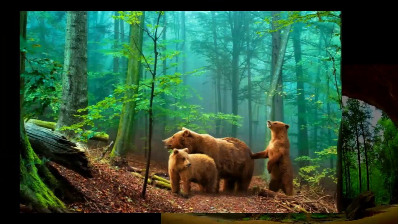 Green silence...(music Beethoven - Ernesto Cortazar).. ...