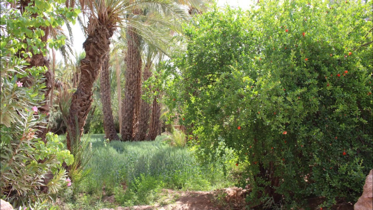 2014 04 maroc 2