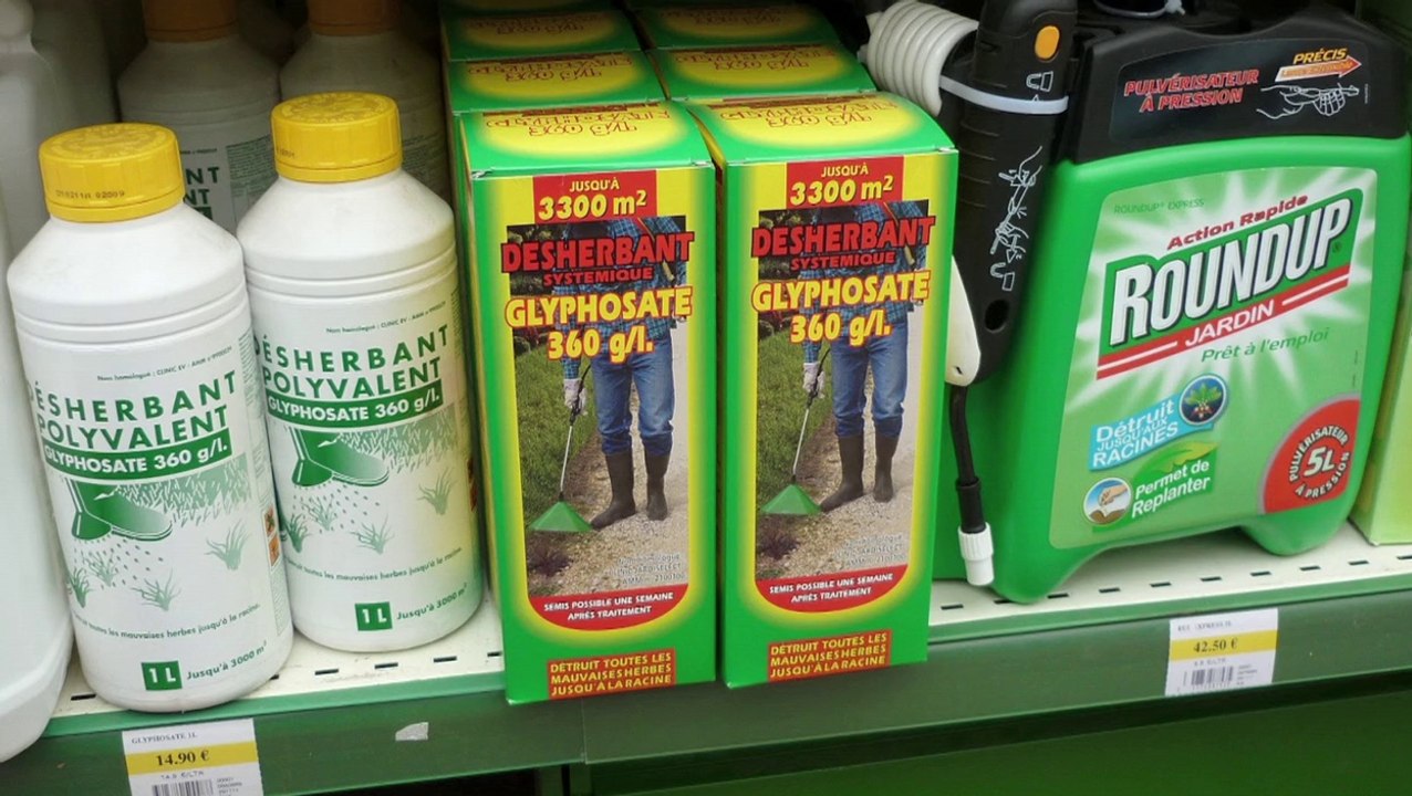 Action Roundup : 2ème round "La victoire"