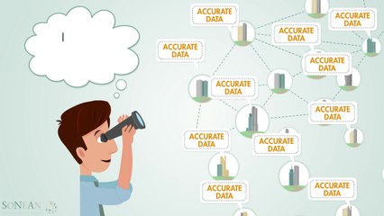SONEAN - Connecting the Nodes