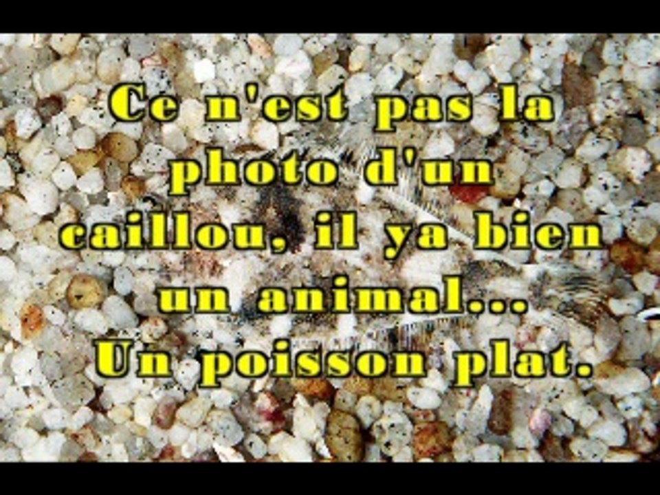 INSAF ET BLEL p2