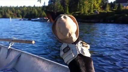 "I Love to Fish", by Crusoe Celebrity Dachshund - GoPro DogCam Fishing - Song by Brad Paisley