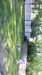 Wiffle Ball to the Face