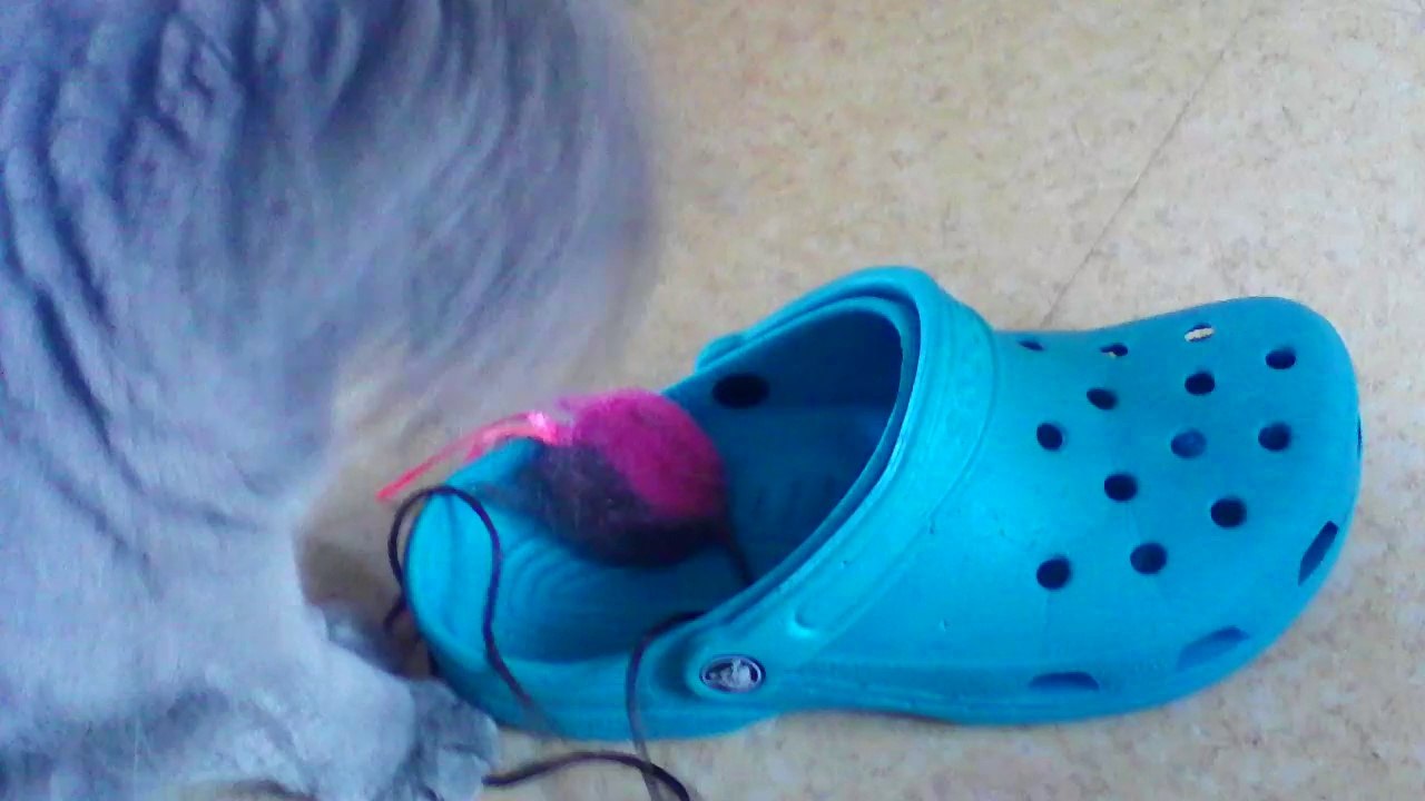 HESTIA et mes crocs