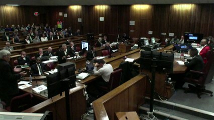 Ballistics expert casts doubt in Pistorius trial