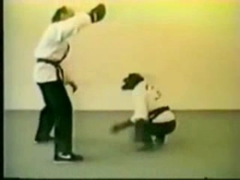 Amazing Karate Chimp
