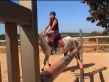 Saut d'obstacles - Equitation