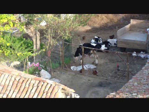 KUŞBAKIŞI - SÜLE MAHALLESİ - 3.BÖLÜM