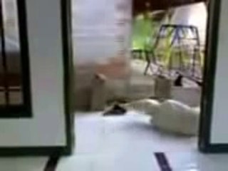 Hantu Kuntilanak Masuk Mushola