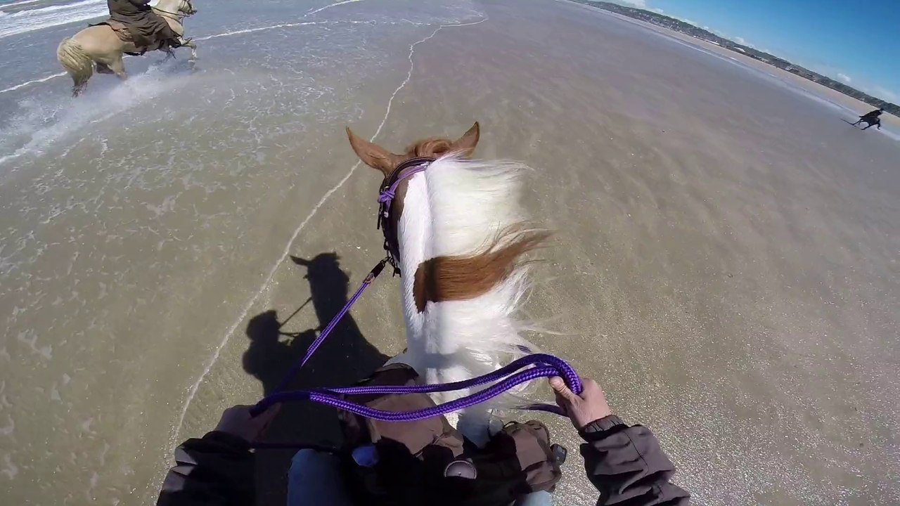 Ride on the beach with Helene, Bob and Alison! :)