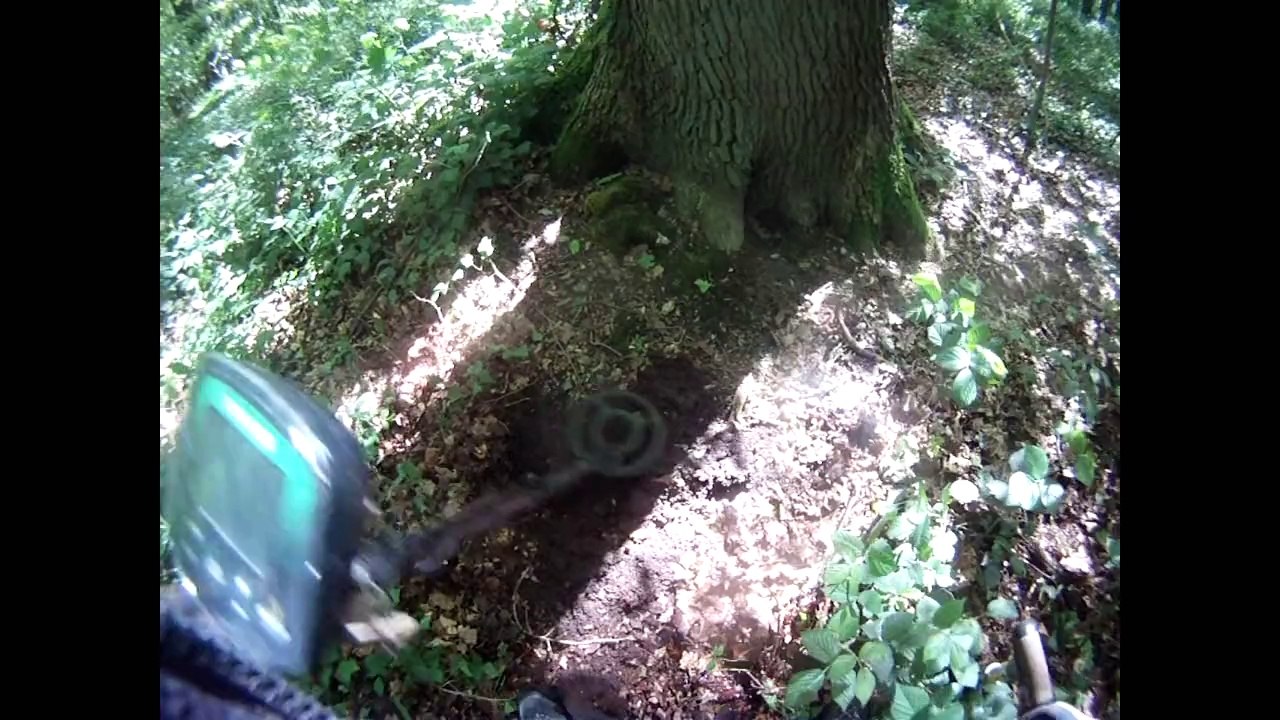 detection en Foret du 11-05-14