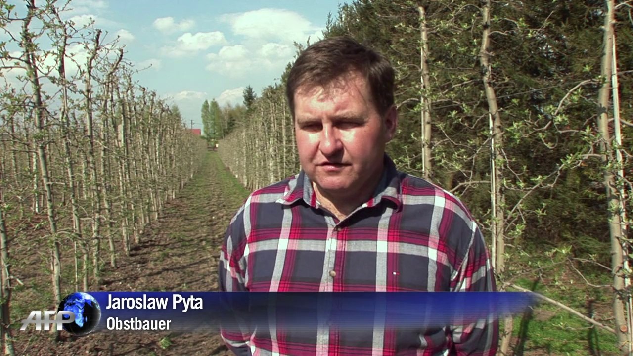 Blühende Landschaften: EU bringt Polens Bauern Modernisierung