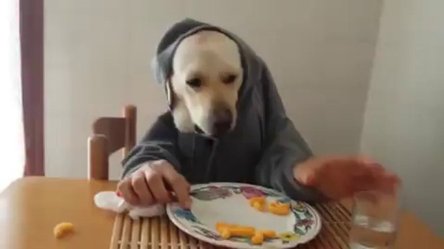 VID-20140411-WA0083.mp4