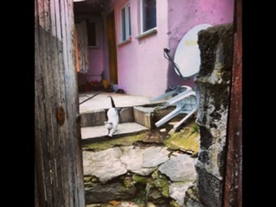 esin kumral in the ghetto